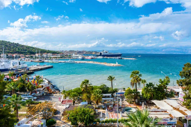 Çeşme Köpek Eğitimi